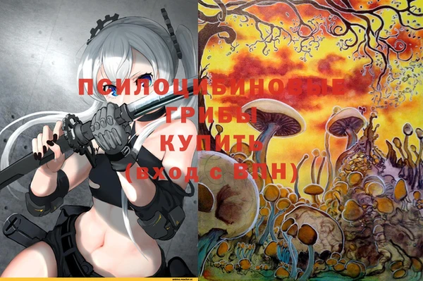 дурь Абдулино