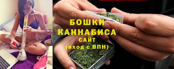 сатива Новокубанск
