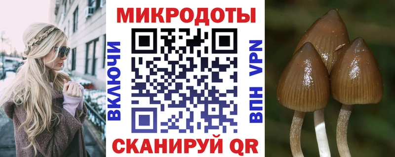 Псилоцибиновые грибы прущие грибы  darknet наркотические препараты  Сорск 